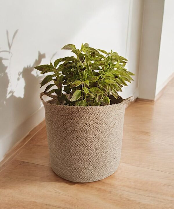 Jute Rope Planters – Sustainable and Stylish