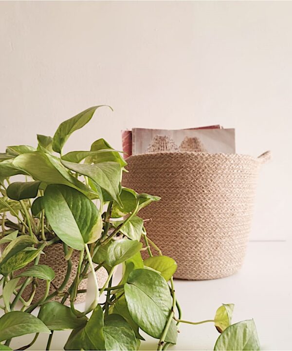 Jute Rope Planters – Sustainable and Stylish - Image 2