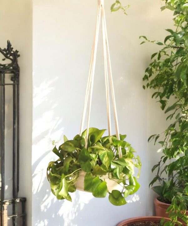 Large Cotton Rope Hanging Planter (20 x 10 cm) displayed outdoors with greenery, perfect for medium-sized plants."