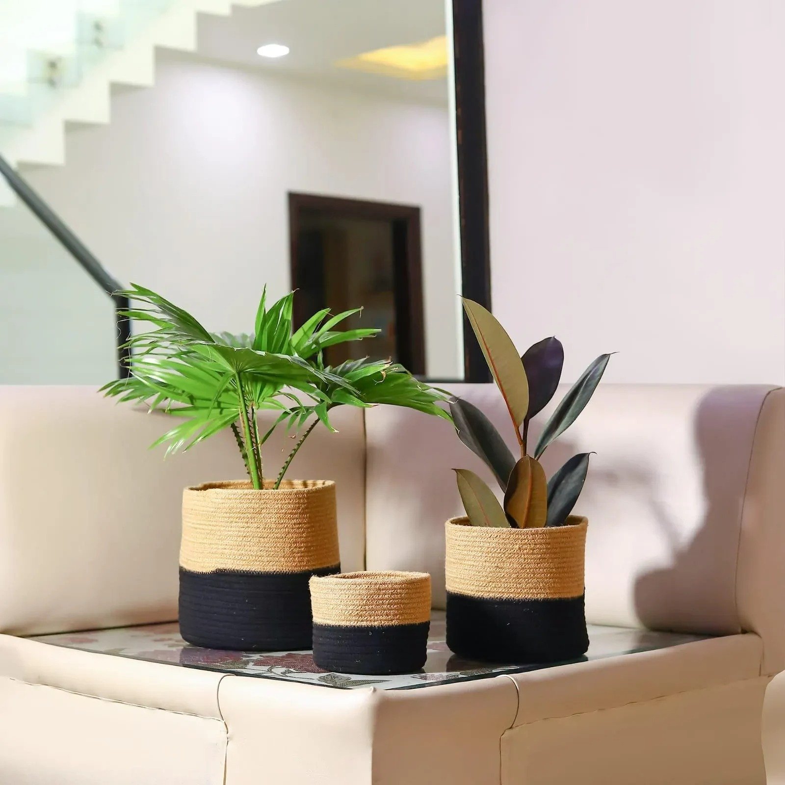 Set of 3 Black Cotton Rope and Jute Planter Basket